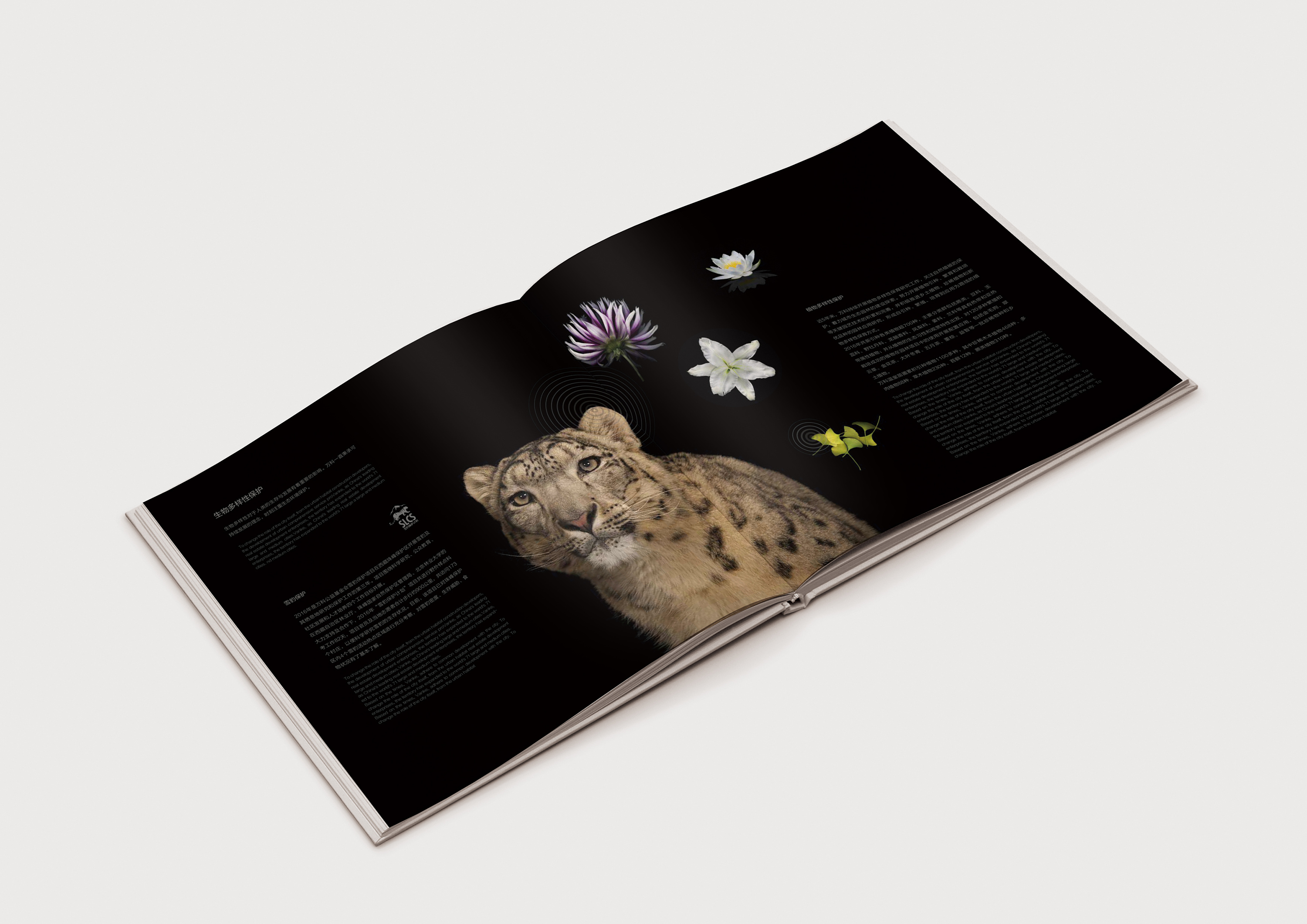 生物多樣性保護(hù) 生物多樣性保護(hù)